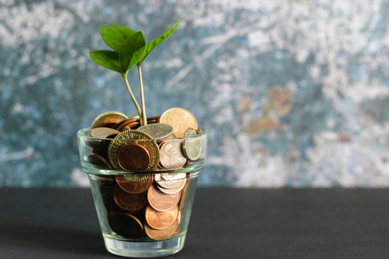 This image symbolizes the essence of making money with money – planting small but deliberate seeds that, with the right strategy, grow into something sustainable. It reflects the power of compounding, long-term thinking, and the potential sitting dormant in every coin you set aside with purpose.